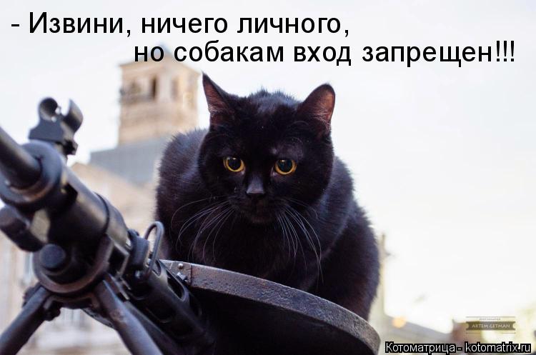 - Извини, ничего личного, но собакам вход запрещен!!!... Котоматрица: - Извини, ничего личного, но собакам вход запрещен!!!