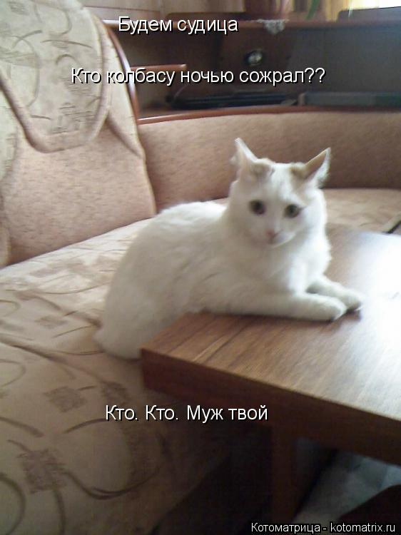 Будем судица Кто колбасу ночью сожрал?? Кто. Кто. Муж твой... Котоматрица: Будем судица Кто колбасу ночью сожрал?? Кто. Кто. Муж твой