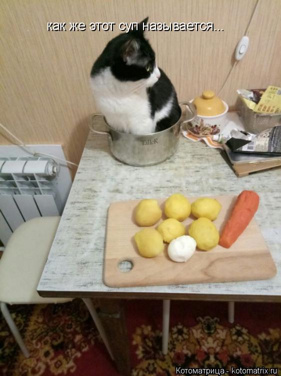 как же этот суп называется...... Котоматрица: как же этот суп называется...