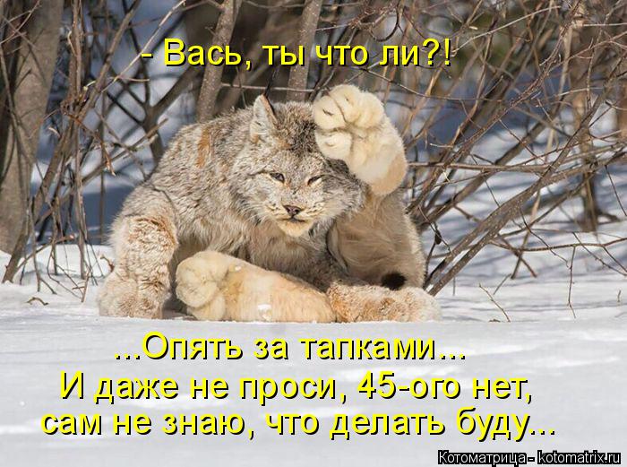 - Вась, ты что ли?! ...Опять за тапками... И даже не проси, 45-ого нет, сам не знаю, что делать буду... Котоматрица: - Вась, ты что ли?! ...Опять за тапками... И даже не проси, 45-ого нет, сам не знаю, что делать буду...