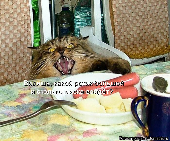 Видишь, какой ротик большой и сколько мяска войдёт?... Котоматрица: Видишь, какой ротик большой и сколько мяска войдёт?