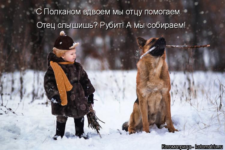 Отец слышишь? Рубит! А мы собираем! С Полканом вдвоем мы отцу помогаем.... Котоматрица: Отец слышишь? Рубит! А мы собираем! С Полканом вдвоем мы отцу помогаем.