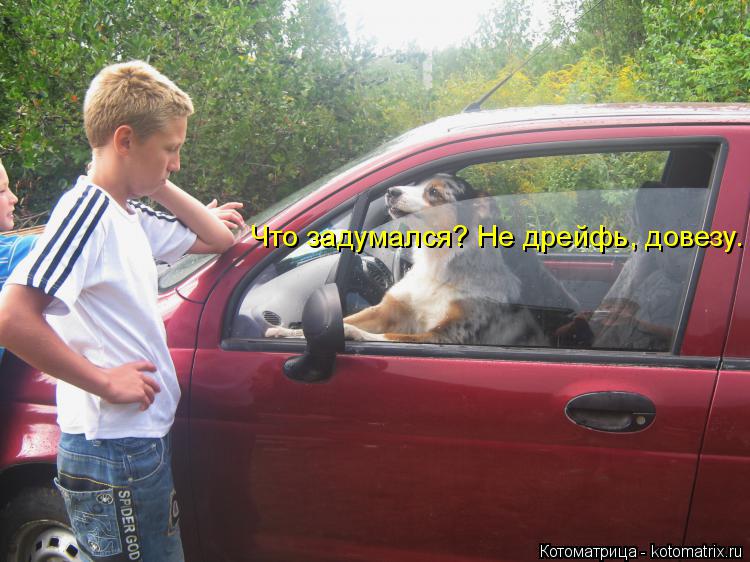 Что задумался? Не дрейфь, довезу.... Котоматрица: Что задумался? Не дрейфь, довезу.