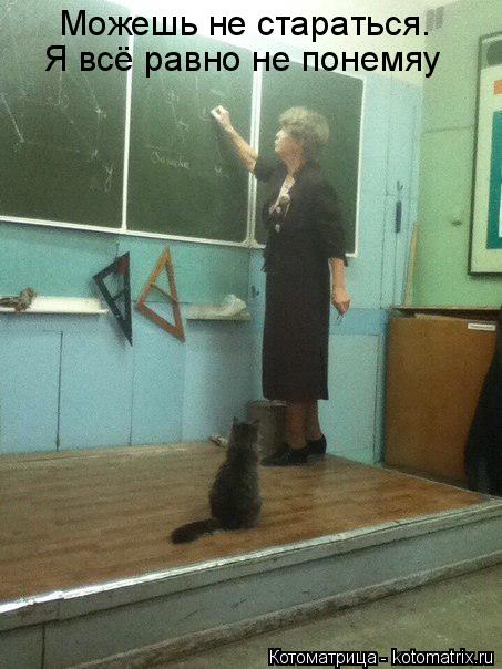 Можешь не стараться. Я всё равно не понемяу... Котоматрица: Можешь не стараться. Я всё равно не понемяу