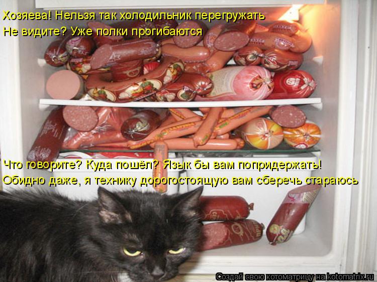 Хозяева! Нельзя так холодильник перегружать Не видите? Уже полки прогибаются Что говорите? Куда пошёл... Котоматрица: Хозяева! Нельзя так холодильник перегружать Не видите? Уже полки прогибаются Что говорите? Куда пошёл? Язык бы вам попридержать! Обидно даж