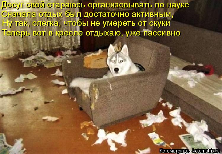 Досуг свой стараюсь организовывать по науке Теперь вот в кресле отдыхаю, уже пассивно Сначала отдых б... Котоматрица: Досуг свой стараюсь организовывать по науке Теперь вот в кресле отдыхаю, уже пассивно Сначала отдых был достаточно активным, Ну так, слегка