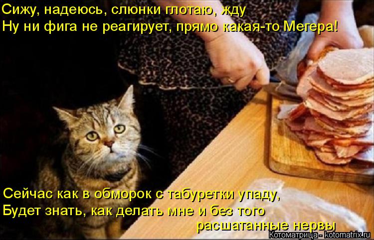 Сижу, надеюсь, слюнки глотаю, жду Ну ни фига не реагирует, прямо какая-то Мегера! Сейчас как в обморо... Котоматрица: Сижу, надеюсь, слюнки глотаю, жду Ну ни фига не реагирует, прямо какая-то Мегера! Сейчас как в обморок с табуретки упаду, Будет знать, как дела