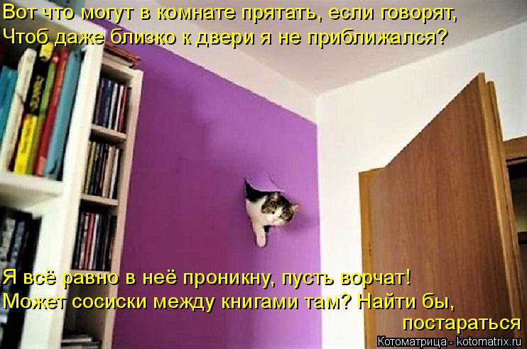 Вот что могут в комнате прятать, если говорят, Чтоб даже близко к двери я не приближался? Я всё равно... Котоматрица: Вот что могут в комнате прятать, если говорят, Чтоб даже близко к двери я не приближался? Я всё равно в неё проникну, пусть ворчат! Может соси