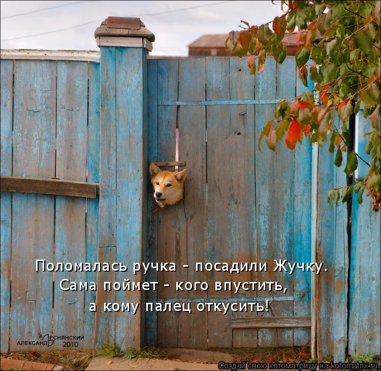 Поломалась ручка - посадили Жучку. Сама поймет - кого впустить, а кому палец откусить!... Котоматрица: Поломалась ручка - посадили Жучку. Сама поймет - кого впустить, а кому палец откусить!