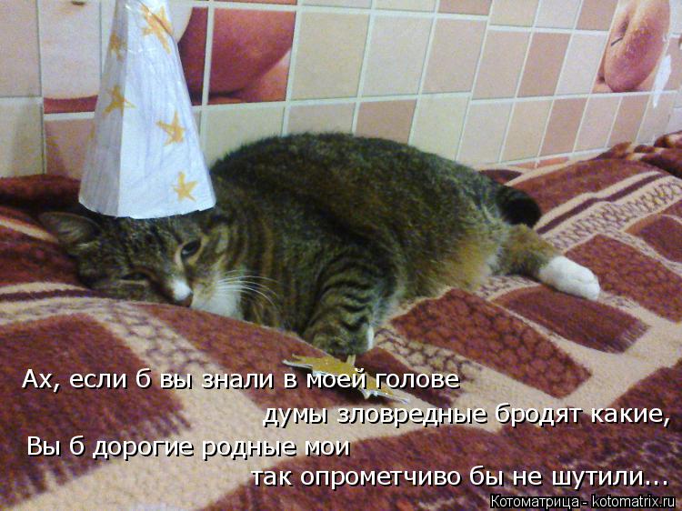 так опрометчиво бы не шутили... Вы б дорогие родные мои думы зловредные бродят какие, Ах, если б вы ... Котоматрица: так опрометчиво бы не шутили... Вы б дорогие родные мои думы зловредные бродят какие, Ах, если б вы знали в моей голове