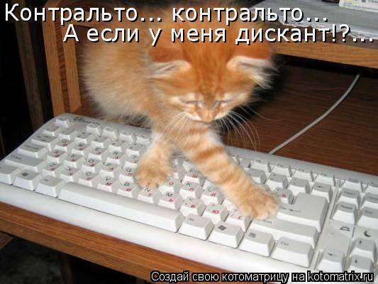 Контральто... контральто... А если у меня дискант!?...... Котоматрица: Контральто... контральто... А если у меня дискант!?...