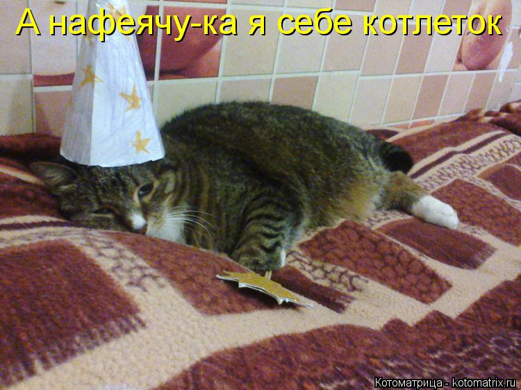 А нафеячу-ка я себе котлеток... Котоматрица: А нафеячу-ка я себе котлеток