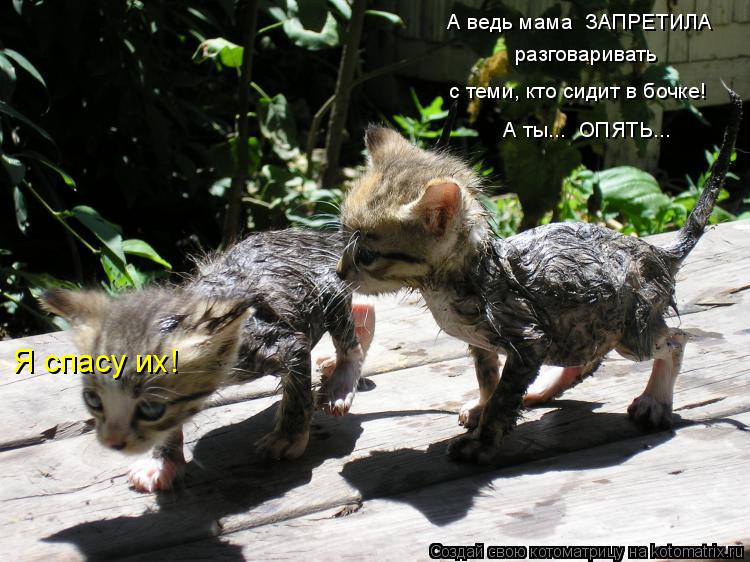с теми, кто сидит в бочке! Я спасу их! А ведь мама ЗАПРЕТИЛА разговаривать А ты... ОПЯТЬ...... Котоматрица: с теми, кто сидит в бочке! Я спасу их! А ведь мама ЗАПРЕТИЛА разговаривать А ты... ОПЯТЬ...