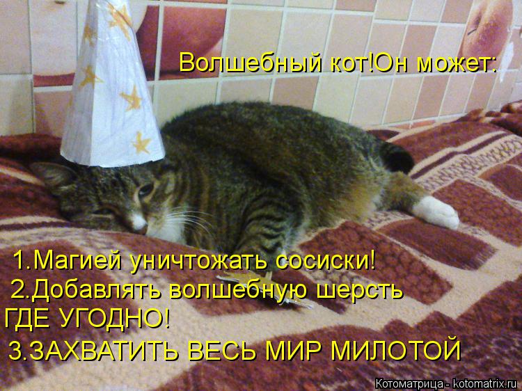 1.Магией уничтожать сосиски! 2.Добавлять волшебную шерсть ГДЕ УГОДНО! 3.ЗАХВАТИТЬ ВЕСЬ МИР МИЛОТОЙ Во... Котоматрица: 1.Магией уничтожать сосиски! 2.Добавлять волшебную шерсть ГДЕ УГОДНО! 3.ЗАХВАТИТЬ ВЕСЬ МИР МИЛОТОЙ Волшебный кот!Он может: