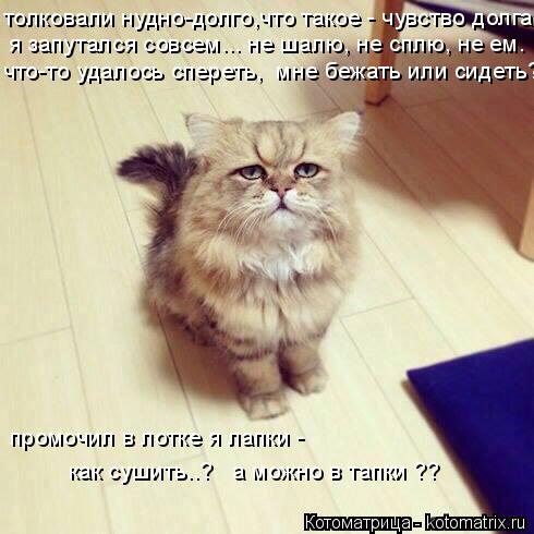 толковали нудно-долго,что такое - чувство долга?! я запутался совсем... не шалю, не сплю, не ем. что-... Котоматрица: толковали нудно-долго,что такое - чувство долга?! я запутался совсем... не шалю, не сплю, не ем. что-то удалось спереть, мне бежать или сидеть? п