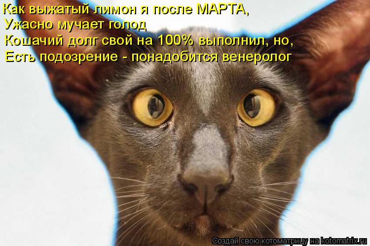Как выжатый лимон я после МАРТА, Ужасно мучает голод Кошачий долг свой на 100% выполнил, но, Есть под... Котоматрица: Как выжатый лимон я после МАРТА, Ужасно мучает голод Кошачий долг свой на 100% выполнил, но, Есть подозрение - понадобится венеролог