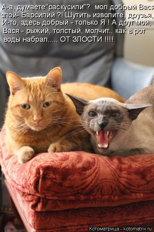 А-а, думаете"раскусили"? мол добрый Вася злой- Барсилий ?! Шутить изволите, друзья, И-то, здесь добр... Котоматрица: А-а, думаете"раскусили"? мол добрый Вася злой- Барсилий ?! Шутить изволите, друзья, И-то, здесь добрый - только Я ! А друг мой, Вася - рыжий, толст