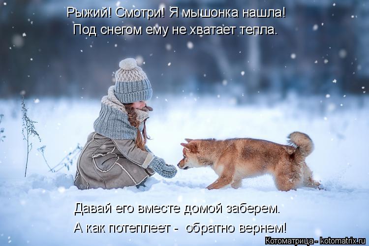Рыжий! Смотри! Я мышонка нашла! Под снегом ему не хватает тепла. Давай его вместе домой заберем. А ка... Котоматрица: Рыжий! Смотри! Я мышонка нашла! Под снегом ему не хватает тепла. Давай его вместе домой заберем. А как потеплеет - обратно вернем!