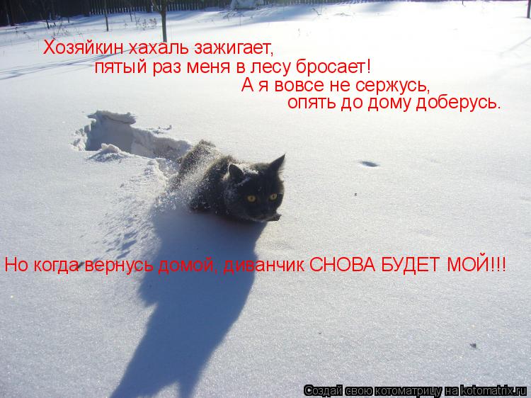 Хозяйкин хахаль зажигает, пятый раз меня в лесу бросает! А я вовсе не сержусь, опять до дому доберус... Котоматрица: Хозяйкин хахаль зажигает, пятый раз меня в лесу бросает! А я вовсе не сержусь, опять до дому доберусь. Но когда вернусь домой, диванчик СНОВА