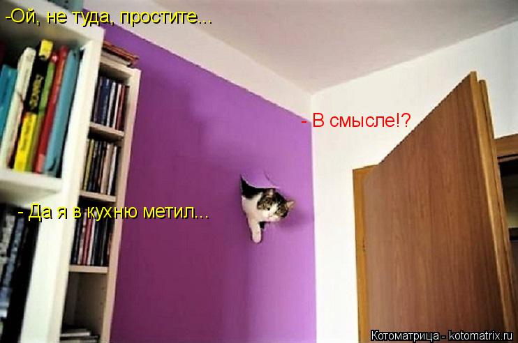 -Ой, не туда, простите... - Да я в кухню метил... - В смысле!?... Котоматрица: -Ой, не туда, простите... - Да я в кухню метил... - В смысле!?