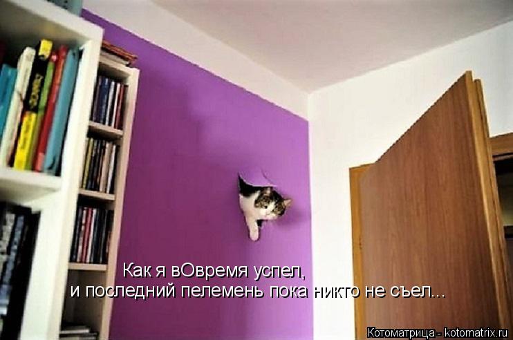 Как я вОвремя успел, и последний пелемень пока никто не съел...... Котоматрица: Как я вОвремя успел, и последний пелемень пока никто не съел...