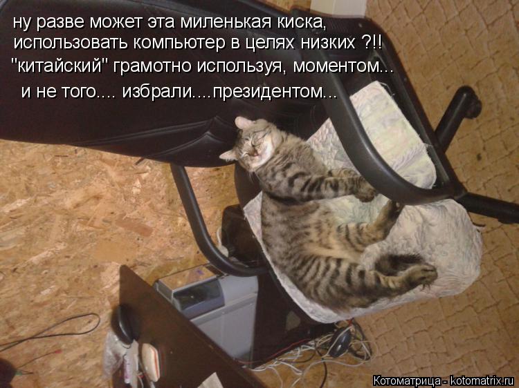 ну разве может эта миленькая киска, использовать компьютер в целях низких ?!! "китайский" грамотно ис... Котоматрица: ну разве может эта миленькая киска, использовать компьютер в целях низких ?!! "китайский" грамотно используя, моментом... и не того.... избрали.