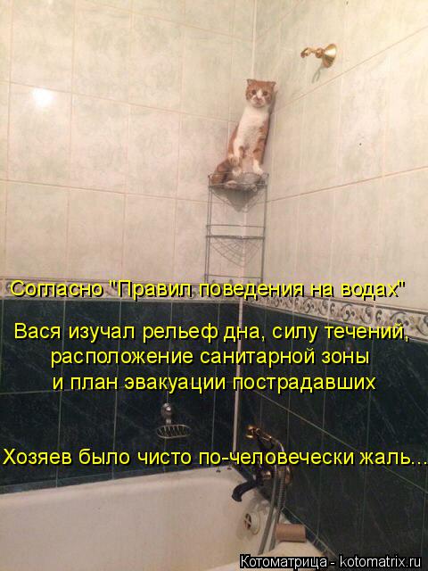 Хозяев было чисто по-человечески жаль... и план эвакуации пострадавших расположение санитарной зоны ... Котоматрица: Хозяев было чисто по-человечески жаль... и план эвакуации пострадавших расположение санитарной зоны Вася изучал рельеф дна, силу течений, С
