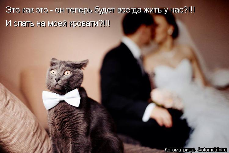 Это как это - он теперь будет всегда жить у нас?!!! И спать на моей кровати?!!!... Котоматрица: Это как это - он теперь будет всегда жить у нас?!!! И спать на моей кровати?!!!
