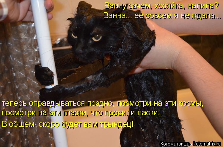 Ванну зачем, хозяйка, налила? Ванна... ее совсем я не ждала... теперь оправдываться поздно, посмотри ... Котоматрица: Ванну зачем, хозяйка, налила? Ванна... ее совсем я не ждала... теперь оправдываться поздно, посмотри на эти космы, посмотри на эти глазки, что п