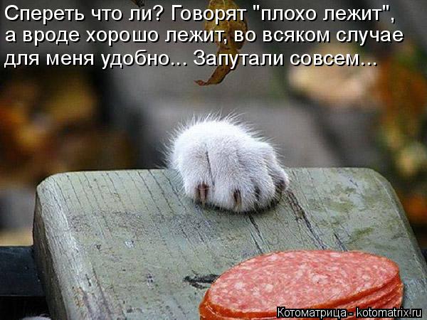 Спереть что ли? Говорят "плохо лежит", а вроде хорошо лежит, во всяком случае для меня удобно... Запу... Котоматрица: Спереть что ли? Говорят "плохо лежит", а вроде хорошо лежит, во всяком случае для меня удобно... Запутали совсем...