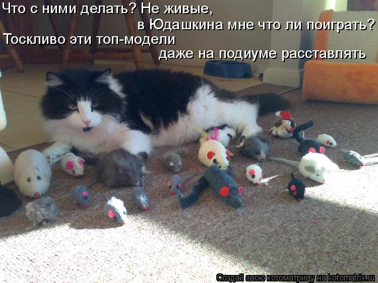 Что с ними делать? Не живые, в Юдашкина мне что ли поиграть? Тоскливо эти топ-модели даже на подиуме ... Котоматрица: Что с ними делать? Не живые, в Юдашкина мне что ли поиграть? Тоскливо эти топ-модели даже на подиуме расставлять