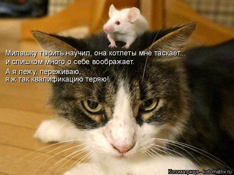 Милашку тырить научил, она котлеты мне таскает... и слишком много о себе воображает. А я лежу, пережи... Котоматрица: Милашку тырить научил, она котлеты мне таскает... и слишком много о себе воображает. А я лежу, переживаю, я ж так квалификацию теряю!