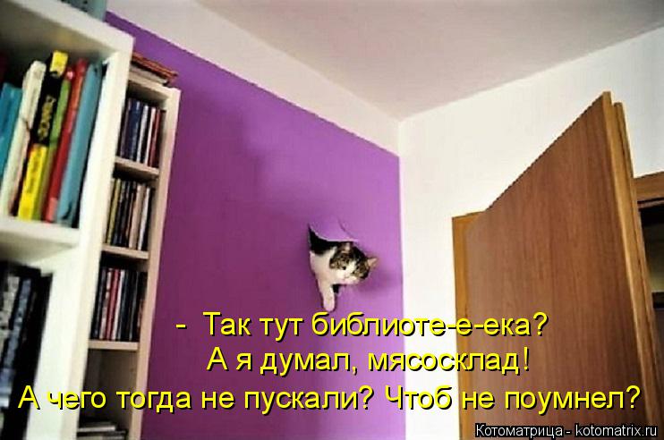 - Так тут библиоте-е-ека? А я думал, мясосклад! А чего тогда не пускали? Чтоб не поумнел?... Котоматрица: - Так тут библиоте-е-ека? А я думал, мясосклад! А чего тогда не пускали? Чтоб не поумнел?