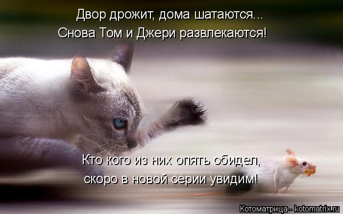 Двор дрожит, дома шатаются... Снова Том и Джери развлекаются! Кто кого из них опять обидел, скоро в н... Котоматрица: Двор дрожит, дома шатаются... Снова Том и Джери развлекаются! Кто кого из них опять обидел, скоро в новой серии увидим!