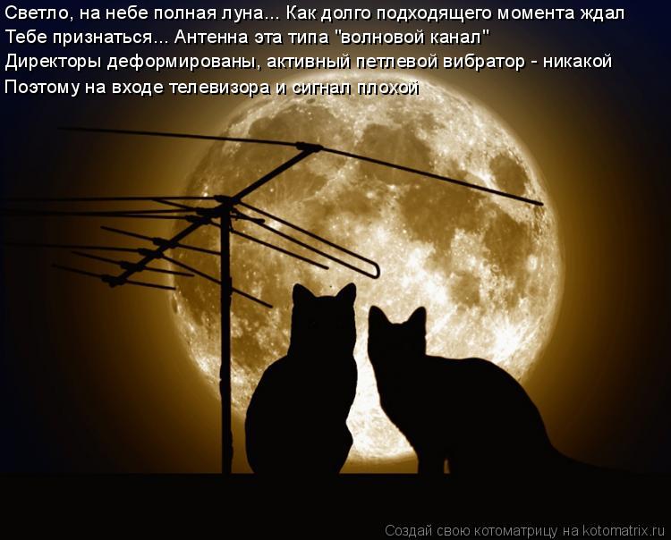Светло, на небе полная луна... Как долго подходящего момента ждал Тебе признаться... Антенна эта типа... Котоматрица: Светло, на небе полная луна... Как долго подходящего момента ждал Тебе признаться... Антенна эта типа "волновой канал" Директоры деформирован