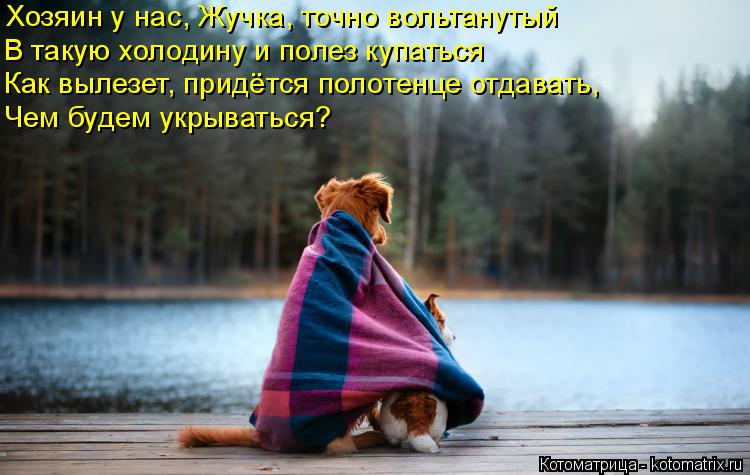Хозяин у нас, Жучка, точно вольтанутый В такую холодину и полез купаться Как вылезет, придётся полоте... Котоматрица: Хозяин у нас, Жучка, точно вольтанутый В такую холодину и полез купаться Как вылезет, придётся полотенце отдавать, Чем будем укрываться?
