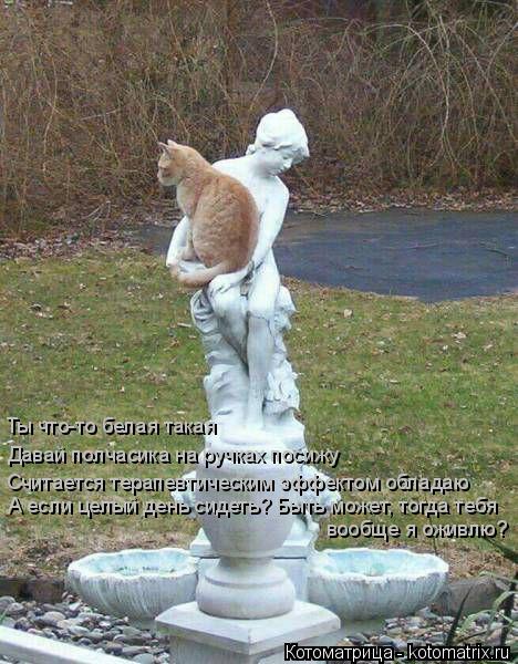 Ты что-то белая такая Давай полчасика на ручках посижу Считается терапевтическим эффектом обладаю А е... Котоматрица: Ты что-то белая такая Давай полчасика на ручках посижу Считается терапевтическим эффектом обладаю А если целый день сидеть? Быть может, тог