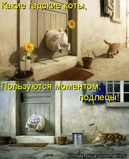 Какие гадские коты, Пользуются моментом, подлецы!... Котоматрица: Какие гадские коты, Пользуются моментом, подлецы!