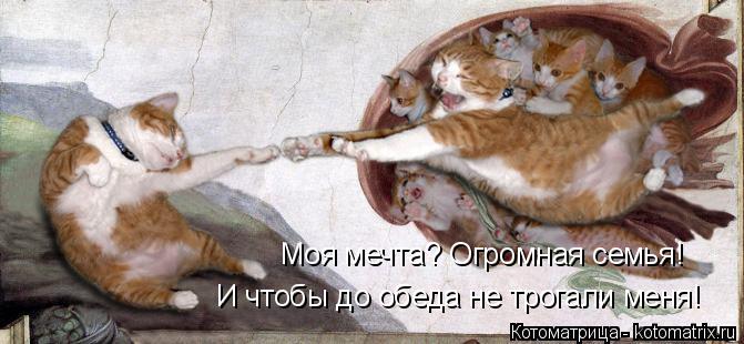 Моя мечта? Огромная семья! И чтобы до обеда не трогали меня!... Котоматрица: Моя мечта? Огромная семья! И чтобы до обеда не трогали меня!