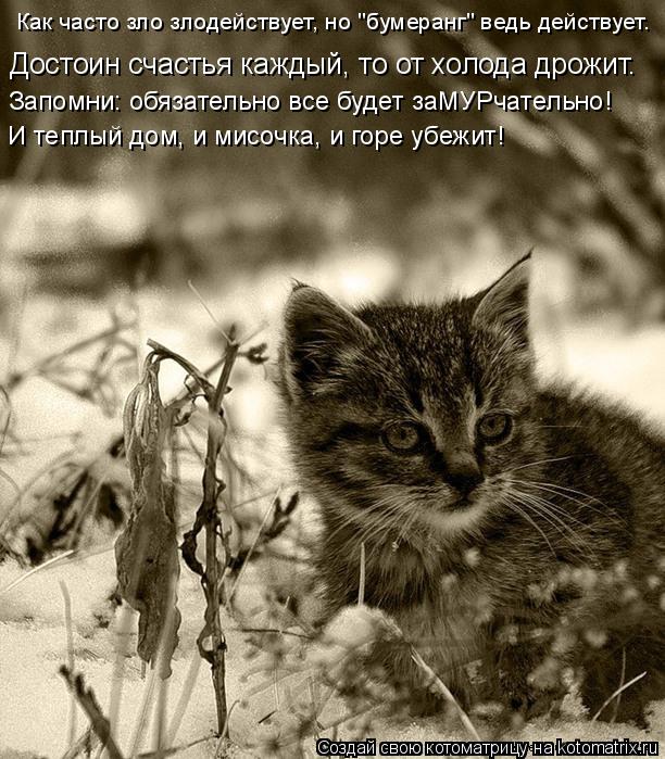 Как часто зло злодействует, но "бумеранг" ведь действует. Достоин счастья каждый, то от холода дрожит... Котоматрица: Как часто зло злодействует, но "бумеранг" ведь действует. Достоин счастья каждый, то от холода дрожит. Запомни: обязательно все будет заМУРч