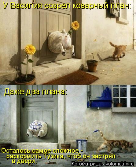У Василия созрел коварный план: Даже два плана: Осталось самое сложное - раскормить Тузика, чтоб он ... Котоматрица: У Василия созрел коварный план: Даже два плана: Осталось самое сложное - раскормить Тузика, чтоб он застрял в двери.