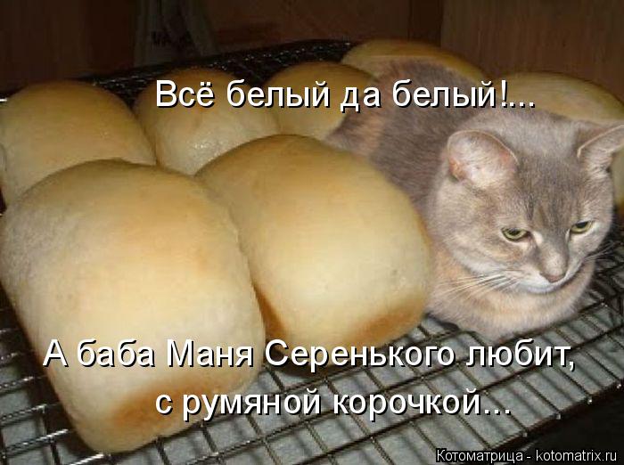 Котоматрица: Всё белый да белый!... А баба Маня Серенького любит, с румяной корочкой...