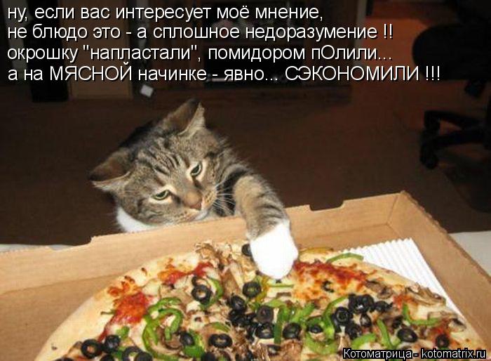 ну, если вас интересует моё мнение, не блюдо это - а сплошное недоразумение !! окрошку "напластали", ... Котоматрица: ну, если вас интересует моё мнение, не блюдо это - а сплошное недоразумение !! окрошку "напластали", помидором пОлили... а на МЯСНОЙ начинке - яв