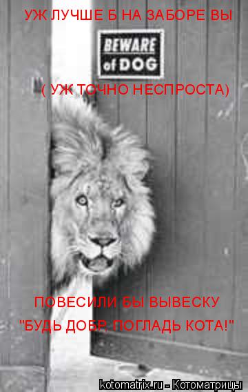УЖ ЛУЧШЕ Б НА ЗАБОРЕ ВЫ ( УЖ ТОЧНО НЕСПРОСТА) ПОВЕСИЛИ БЫ ВЫВЕСКУ "БУДЬ ДОБР, ПОГЛАДЬ КОТА!"... Котоматрица: УЖ ЛУЧШЕ Б НА ЗАБОРЕ ВЫ ( УЖ ТОЧНО НЕСПРОСТА) ПОВЕСИЛИ БЫ ВЫВЕСКУ "БУДЬ ДОБР, ПОГЛАДЬ КОТА!"