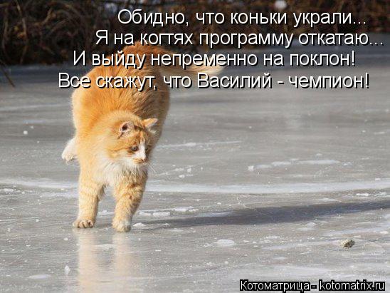Котоматрица: Обидно, что коньки украли... Я на когтях программу откатаю... И выйду непременно на поклон! Все скажут, что Василий - чемпион!