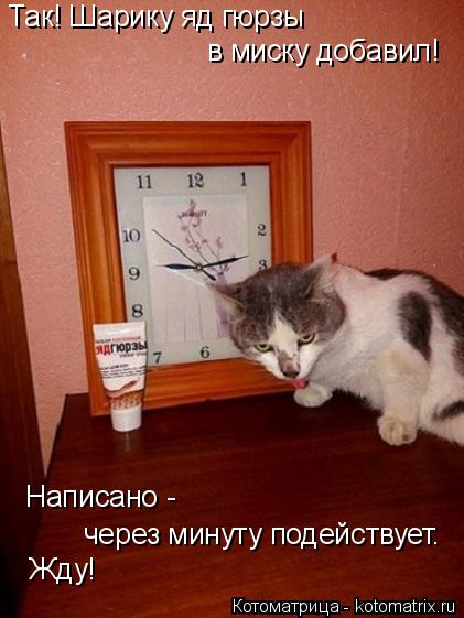 Так! Шарику яд гюрзы в миску добавил! Написано - через минуту подействует. Жду!... Котоматрица: Так! Шарику яд гюрзы в миску добавил! Написано - через минуту подействует. Жду!