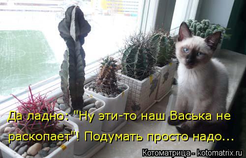 Да ладно: "Ну эти-то наш Васька не раскопает"! Подумать просто надо...... Котоматрица: Да ладно: "Ну эти-то наш Васька не раскопает"! Подумать просто надо...