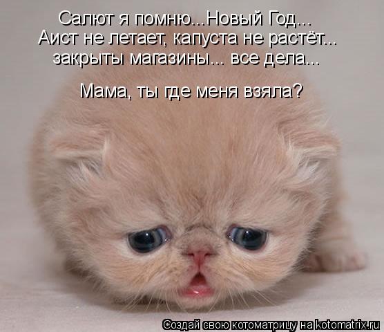 Салют я помню...Новый Год... Аист не летает, капуста не растёт... закрыты магазины... все дела... Мам... Котоматрица: Салют я помню...Новый Год... Аист не летает, капуста не растёт... закрыты магазины... все дела... Мама, ты где меня взяла?