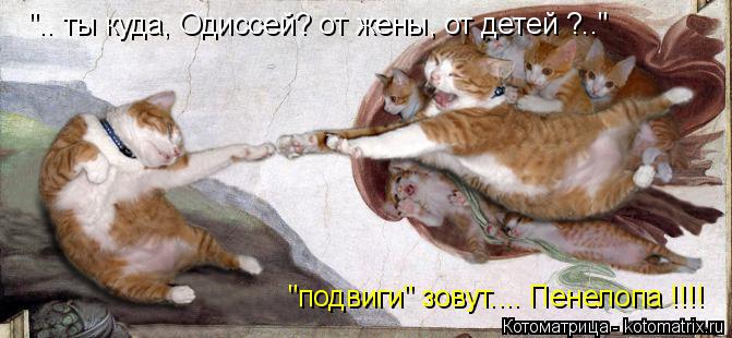 Котоматрица: ".. ты куда, Одиссей? от жены, от детей ?.." "подвиги" зовут.... Пенелопа !!!!