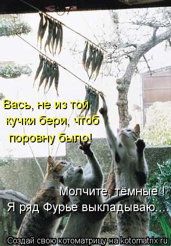 Котоматрица: Вась, не из той кучки бери, чтоб поровну было! Молчите, тёмные ! Я ряд Фурье выкладываю...